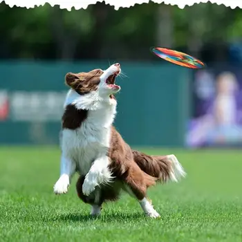

2019 New Interactive Pet Dog Toys Flying Discs Dog Tooth Resistant Outdoor Training Throw Game Colorful Flyer Water Floating Toy