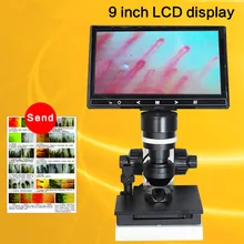 Детектор микроциркуляции 880 цветной ЖК-дисплей, капиллярный микроциркуляционный USB цифровой микроскоп, микроциркуляция крови(CE