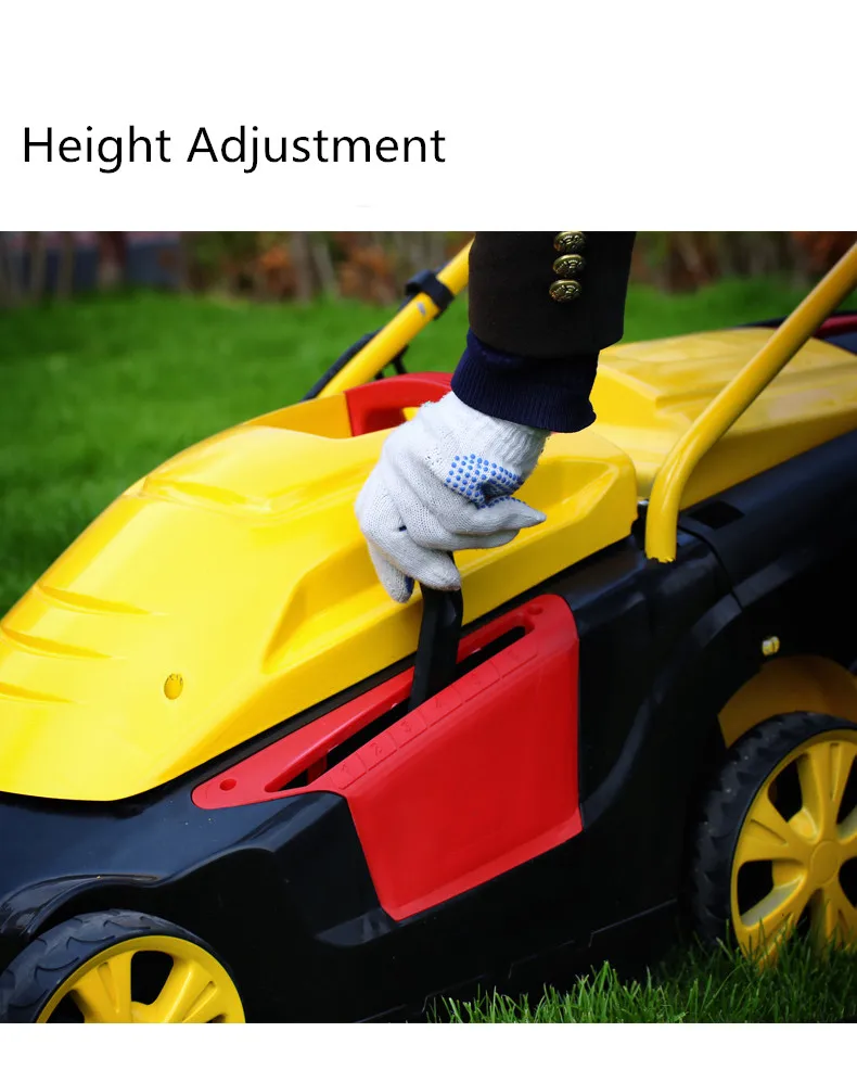 6_