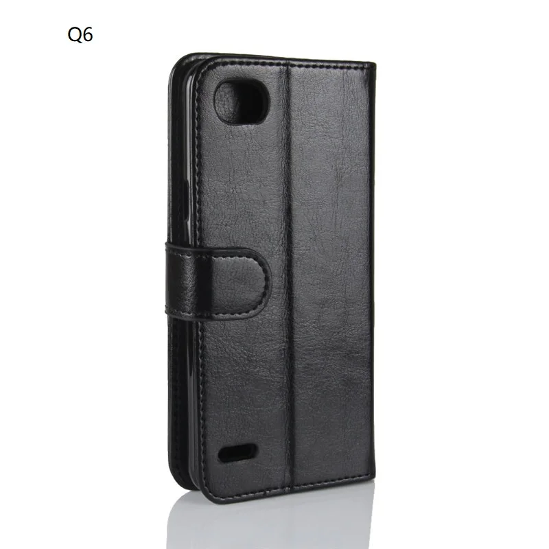 Q6 Plus