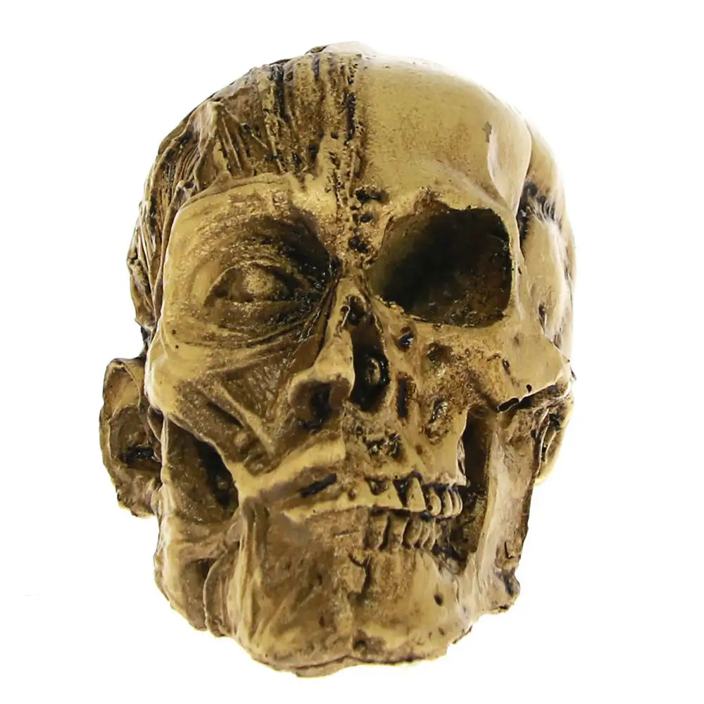 

Ornamental Malformation Skull Cold Cast Resin Sculpture Atrocious Skeleton Statue Gothic Party Spook House Decor Halloween Gift