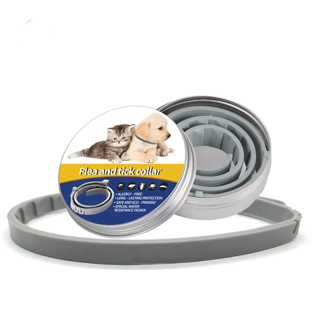 collar for dogs