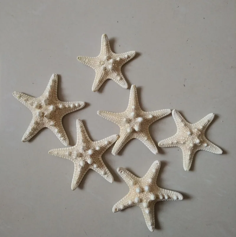 10pcs/lot Shell coral Medium crafts  4-7cm yangtz decoration natural starfish beige white sea star wedding party CRAFTS