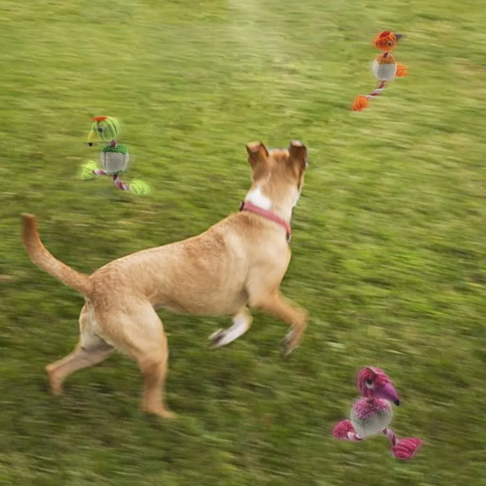 71dtyHOrMUL._SL1001_