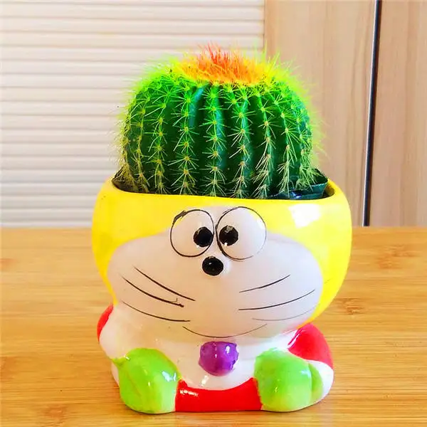 Promotion! 1000pcs rare cactus plant Japan best selling succulent flower bonsai plant indoor plant home and garden decoration