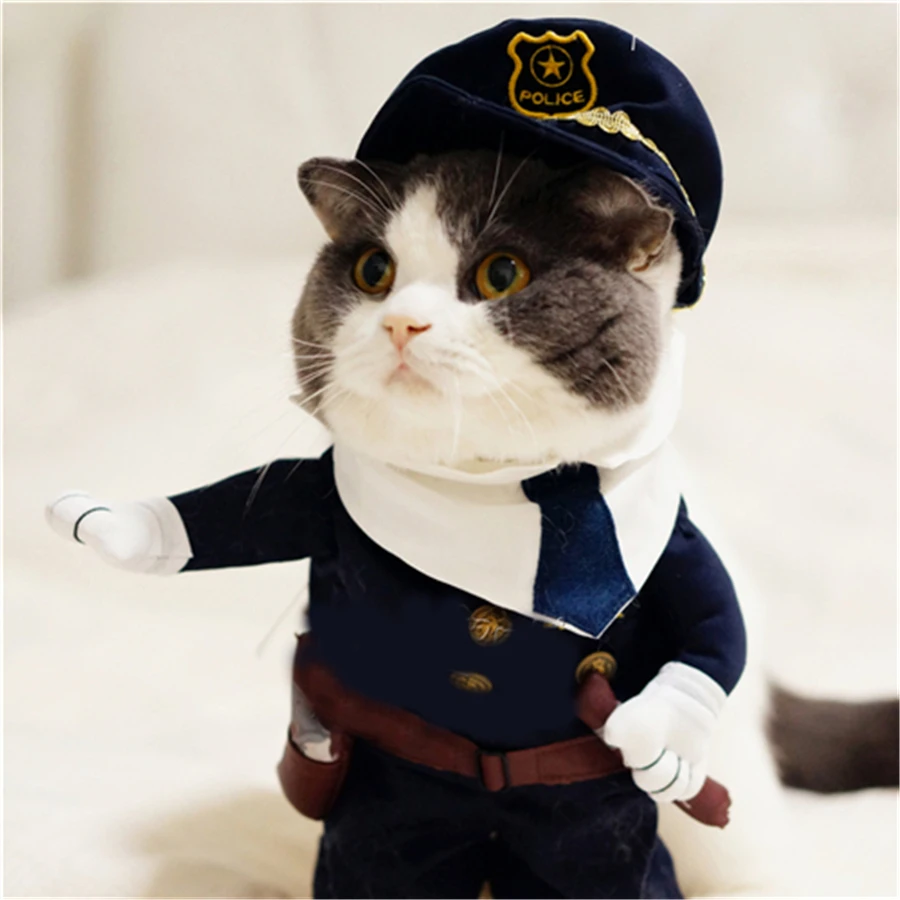 t shirts for cats to wear