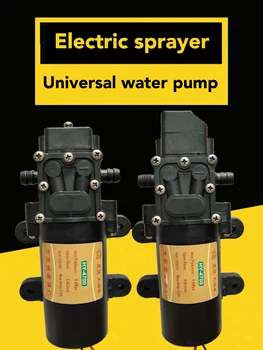 

Good Quality And Low-price HY-4200 12V 5L/MinElectric Sprayer Pump Small Dosing Diaphragm Pump
