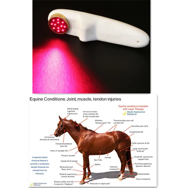 Ветеринарная собака лошадь кошка животные Лазерная обезболивающая терапия LLLT 650nm и 808nm инфракрасный свет Красный холодный лазер