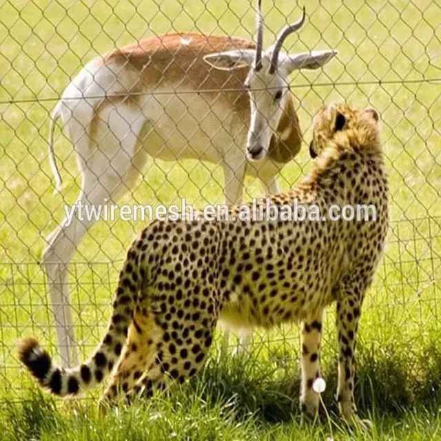 Сетка для ограждения животных/из нержавеющей стали zoo Mesh