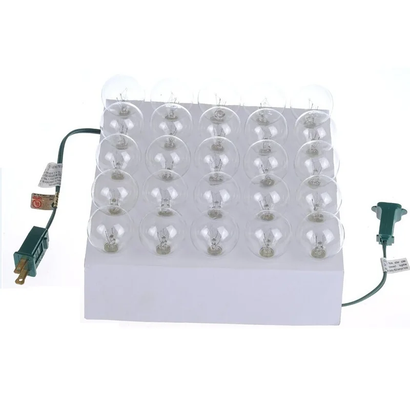 UL Listd Green Cable 25ft G40 Globe String Light Commercial String