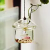 Mushroom-shaped Hanging Glass Planter Vase Rumble Fish Tank Terrarium Container Home Garden Decor 1