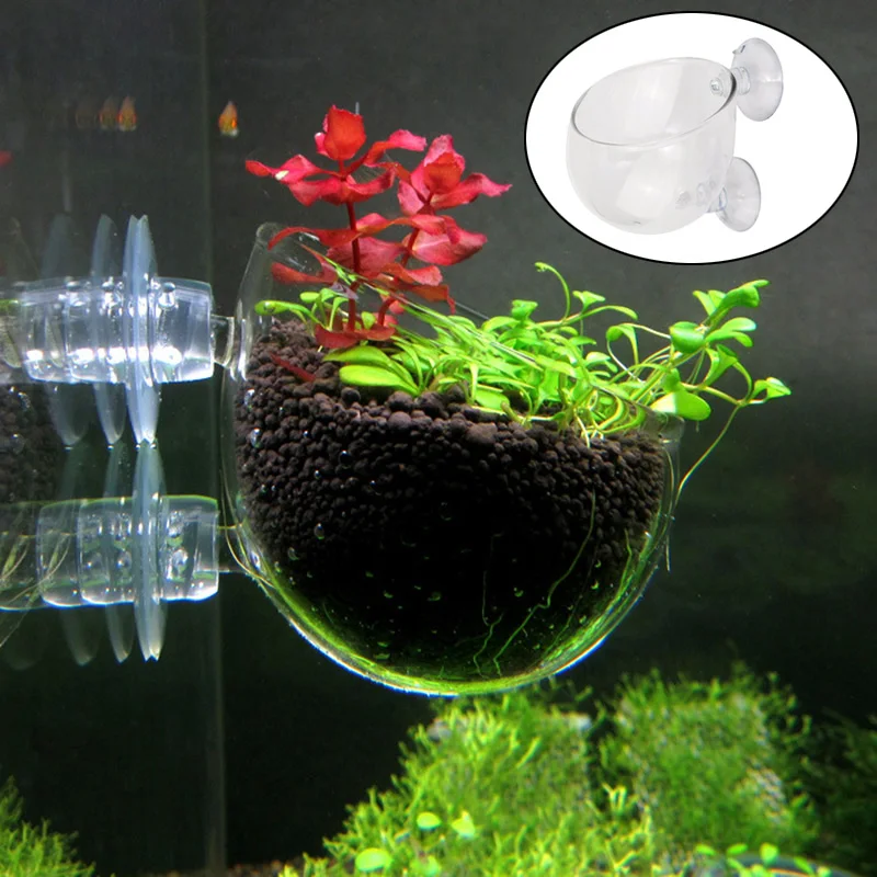 Украшение для аквариума растения ландшафтное выращивание стеклянная чашка бассейна мини водный посадочный горшок QJS магазин