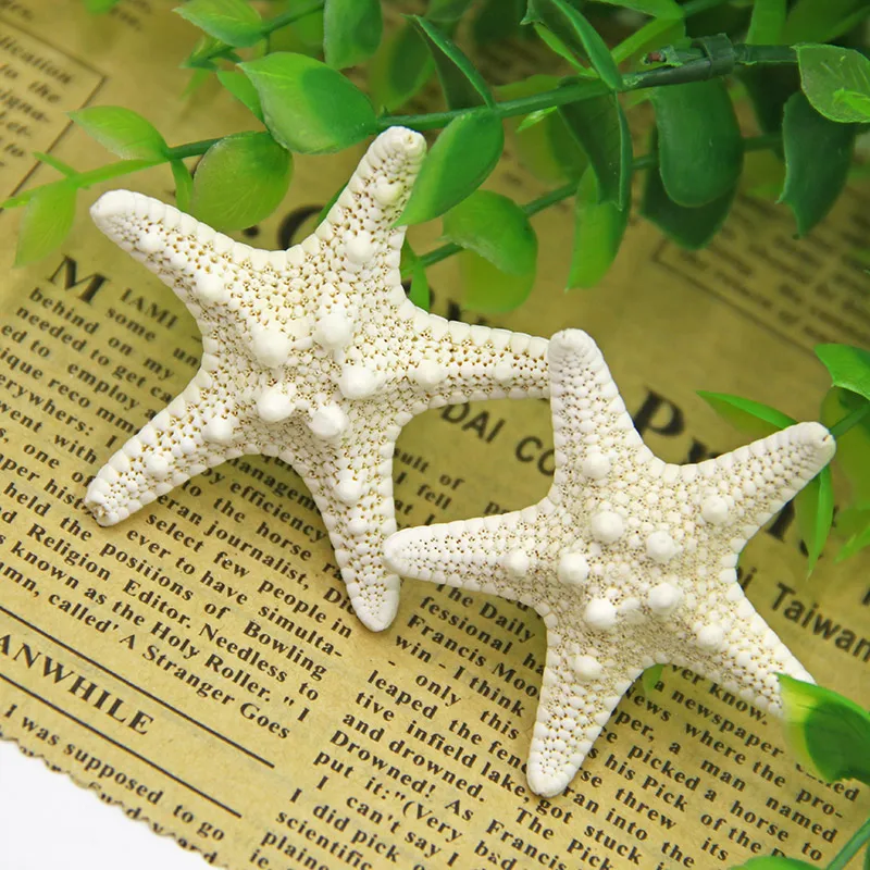 

Home Decor 3PC white starfish 3-8cm White Natural Finger Sea Star Wedding Decor seashells seafish party beige seastar crafts