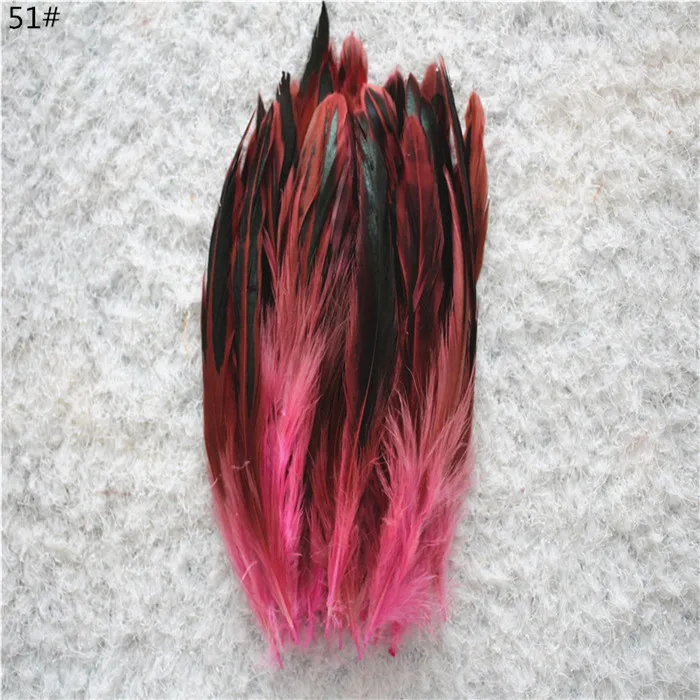 Y51