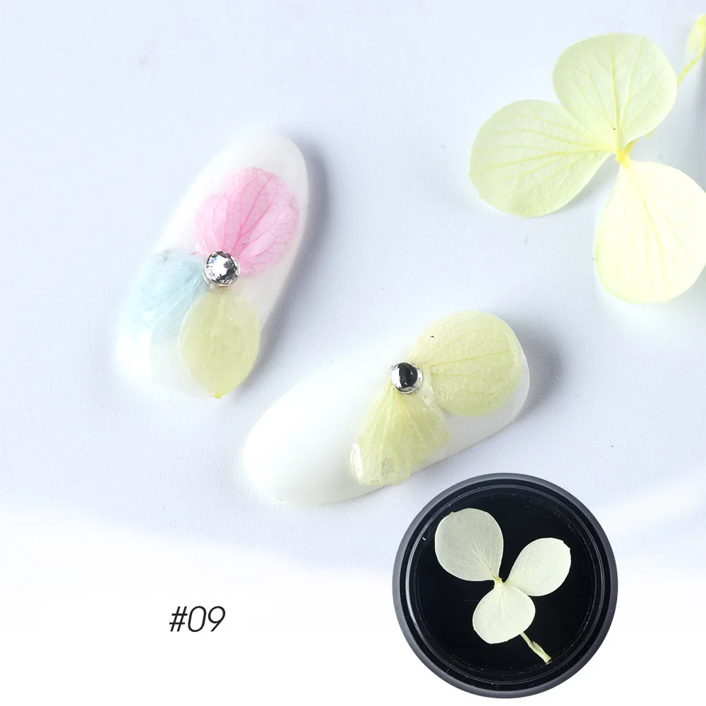 dried flowers C09