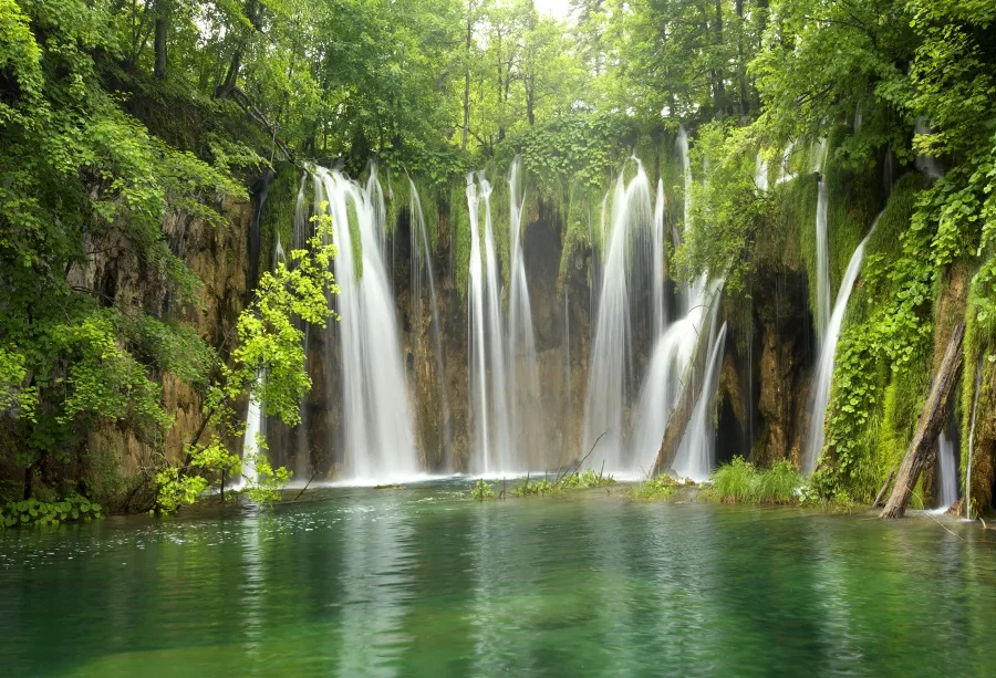 

Laeacco Waterfall Tree River Hill Scenic Portrait Photography Backgrounds Customized Photographic Backdrops For Photo Studio