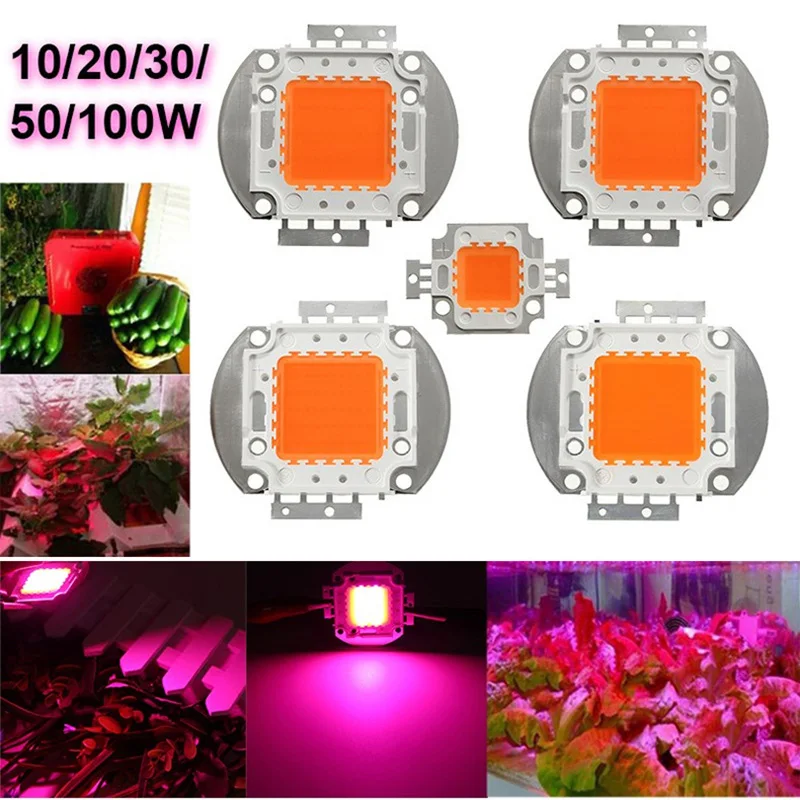

1pcs Hydroponice AC 220V 50W 30W 20W 10W cob led grow light chip full spectrum 380nm-840nm for Indoor Plant Seedling Grow Flower