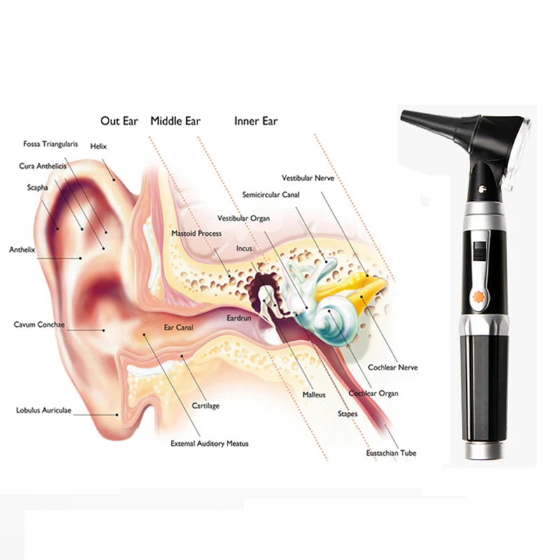 Профессиональный медицинский Otoscopio диагностический светодиодный отоскоп ушной заботы Домашний медицинский диагностический эндоскоп очиститель с 8 наконечниками