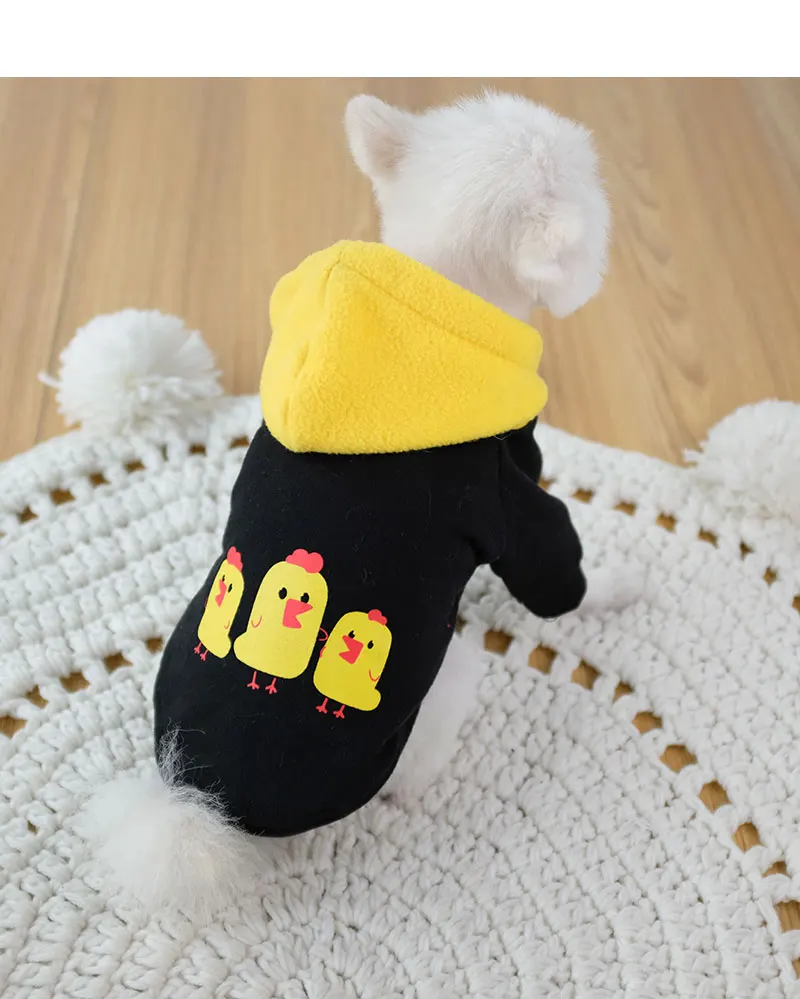 cool dog clothes