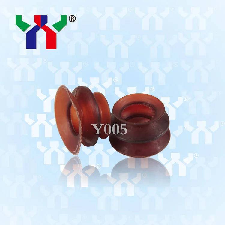 Y005