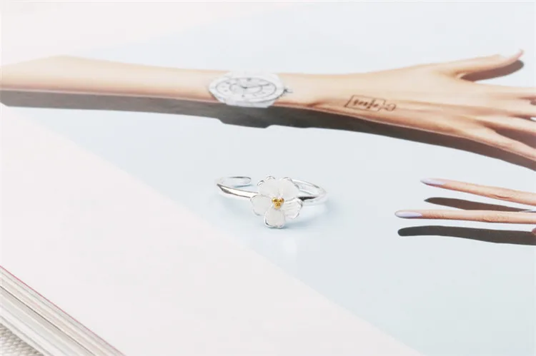 8263612416_1646359543