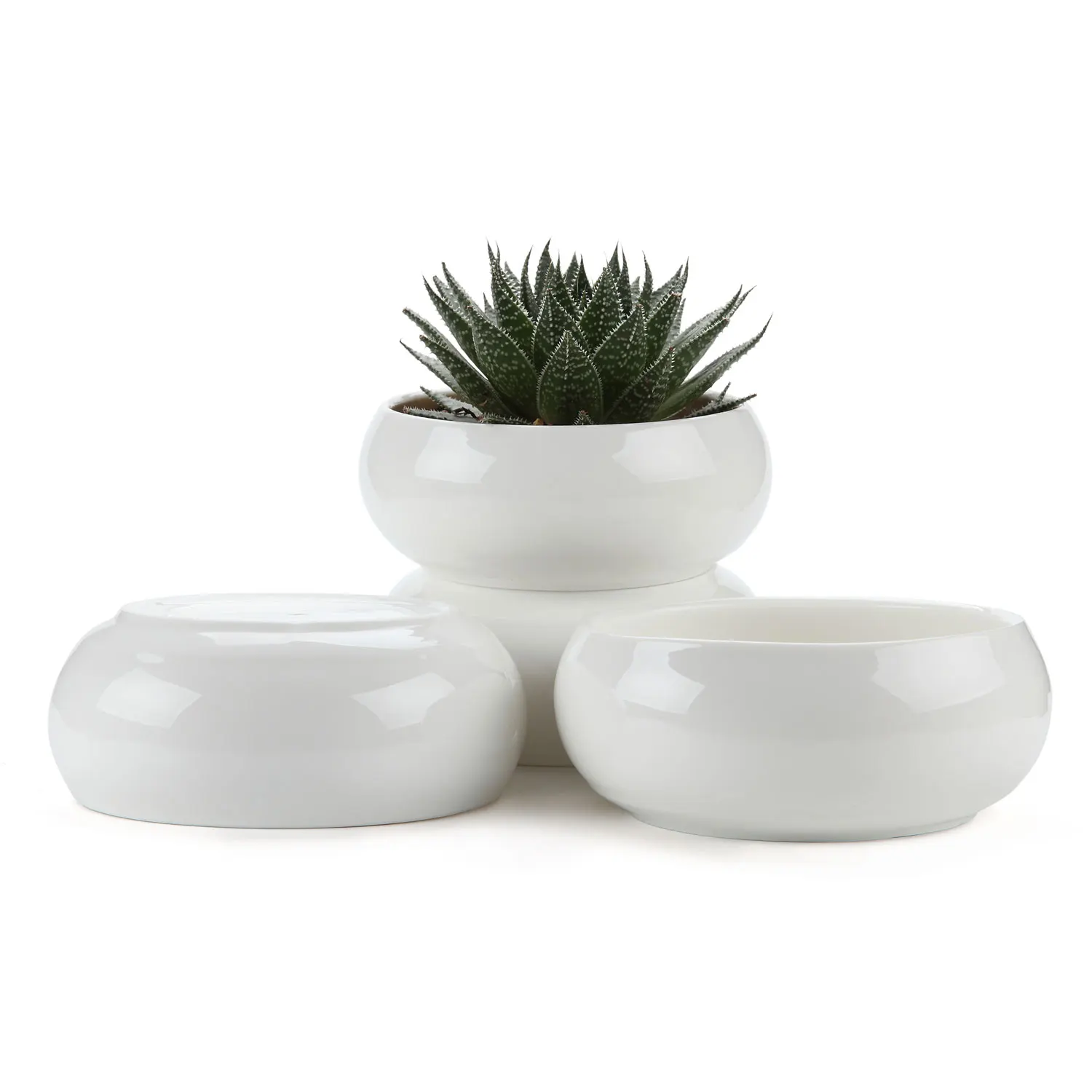 

T4U 6.5 Inch Ceramic White Round Simple Design succulent Cactus Plant Pot Flower Pot/Container/Planter Package 1 Pack of 4