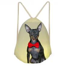 ThiKin Funny 3D Dog Miniature Pinscher Printed Women Men Drawstrings Softback Boys Girls Storage Backpacks Shoes