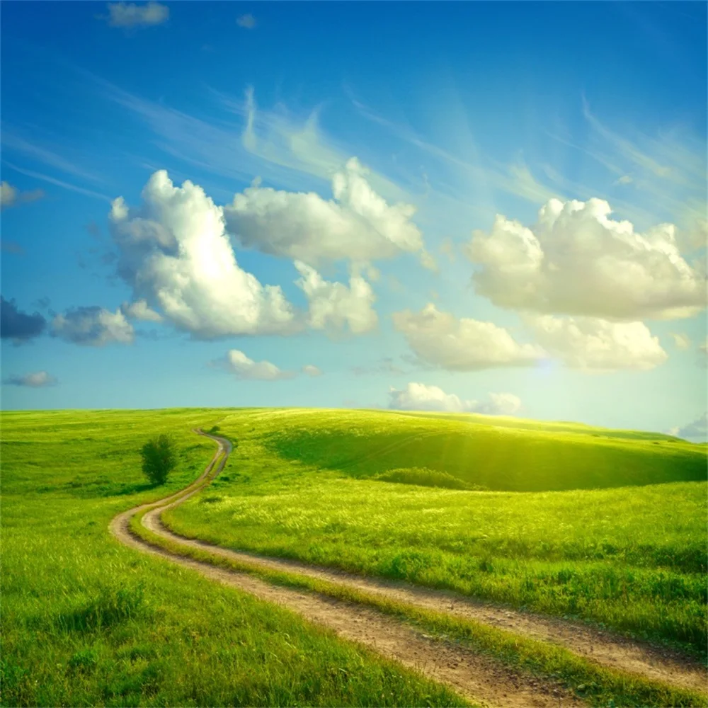 

Laeacco Blue Sky Clouds Country Grassland Scenic Baby Photography Backgrounds Customized Photographic Backdrops For Photo Studio
