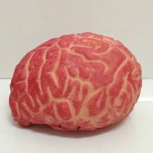 Реквизит резиновый ужас поддельные страшные мозги дом с привидениями части тела украшения-ужастики для Хеллоуина Игрушка в виде ведьмы кляп игрушки