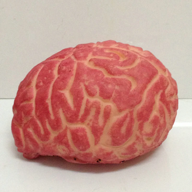 

Prop Rubber Horror Fake Scary Brain Haunted House Organ Body Part Halloween Decoration Horror Prop Decor Gag Toys