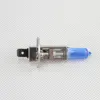 6500K White H1 H7 High beam Low beam 55w 12V Gas Halogen Headlight Bulb Light Lamp with Dark Blue Glass for car Fog Driving lamp 2
