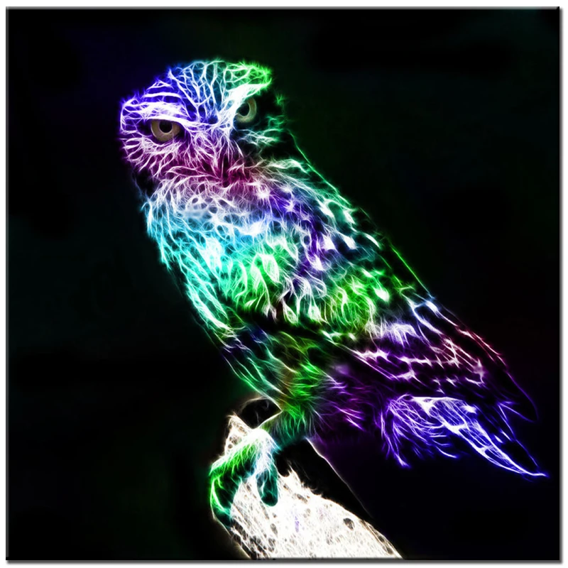

Colour Owl DIY 5D diamond mosaic animal patterns rhinestone diamond embroidery painting needlework 3D full wall picture sticker