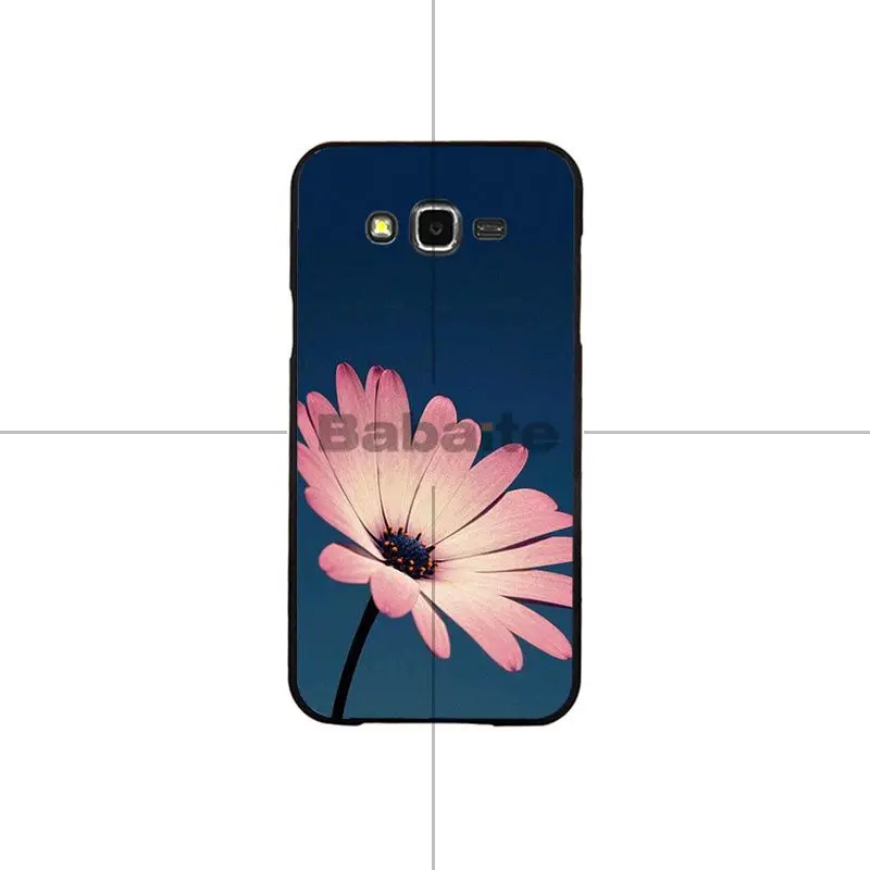 Flower Lotus Tulip
