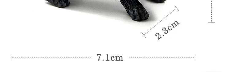 -7--MY6221_08