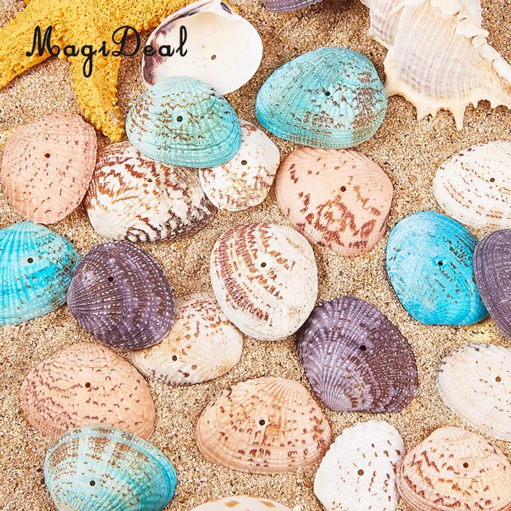 2 Box Multi Sea Shells Natural Conch Shells Beach Seashells, Colorful Assorted Accents for Candle Making Home Decorations