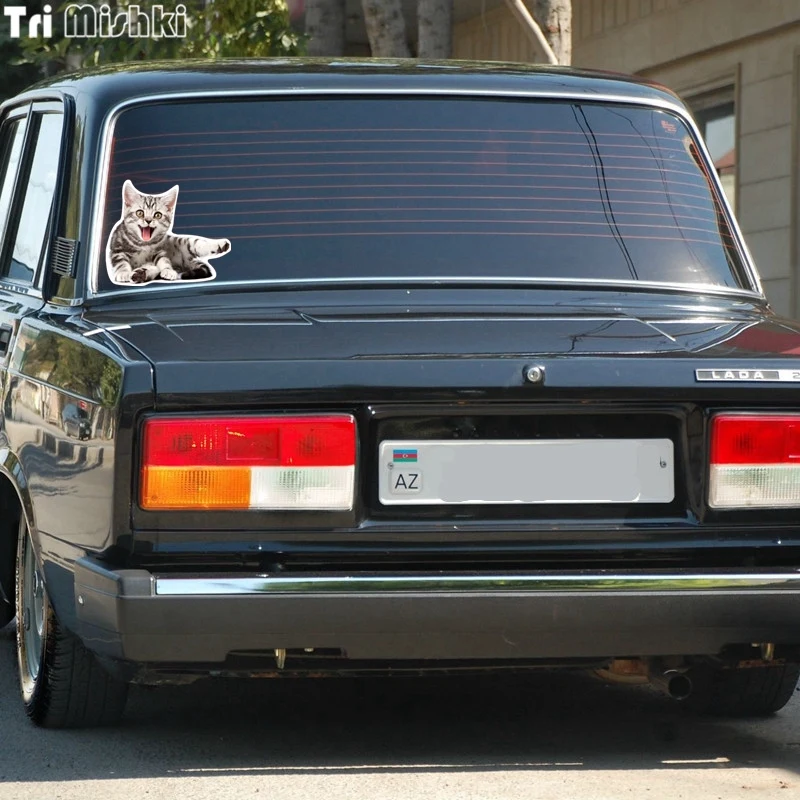 lada 2107 (14)_