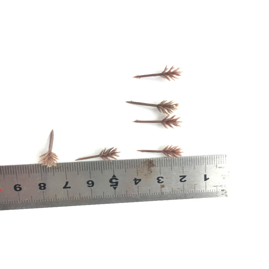architecture model tree arm  (6)