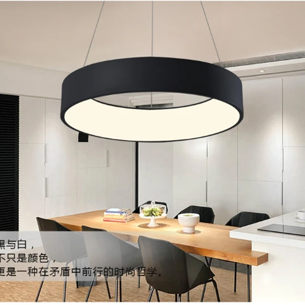 modern pendant lamp (15)