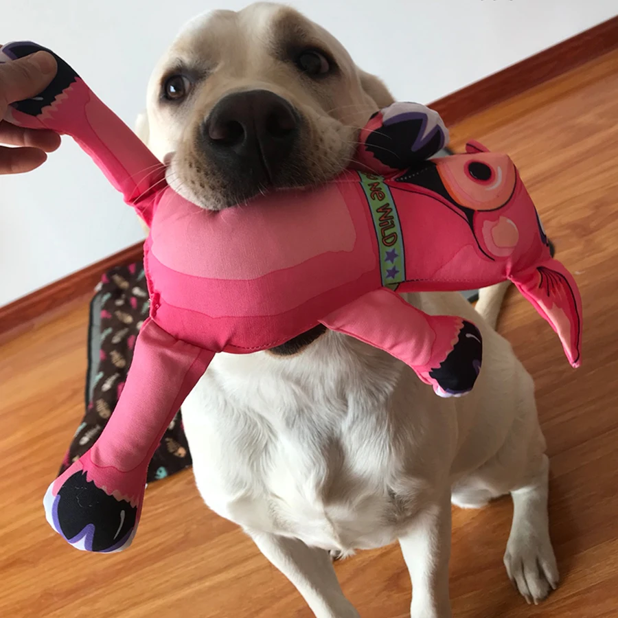 

Canvas Interactive Dog Toys Chew Training Bite Resistant Puzzle Dog Toy Squeaker Honden Speeltjes Pet Supplies Petshop 50DC0030