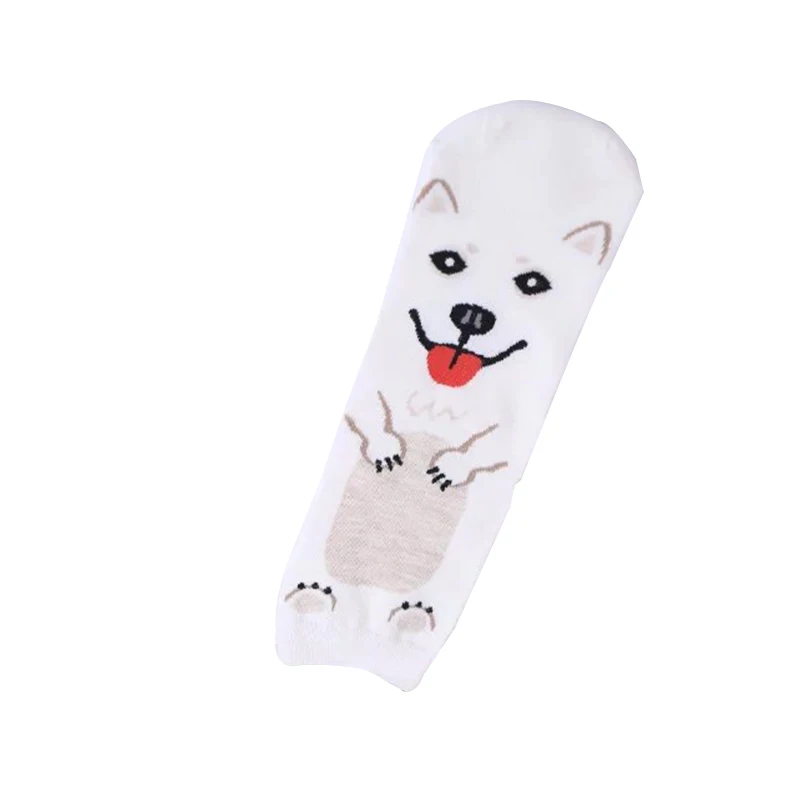 4524907453_297019652