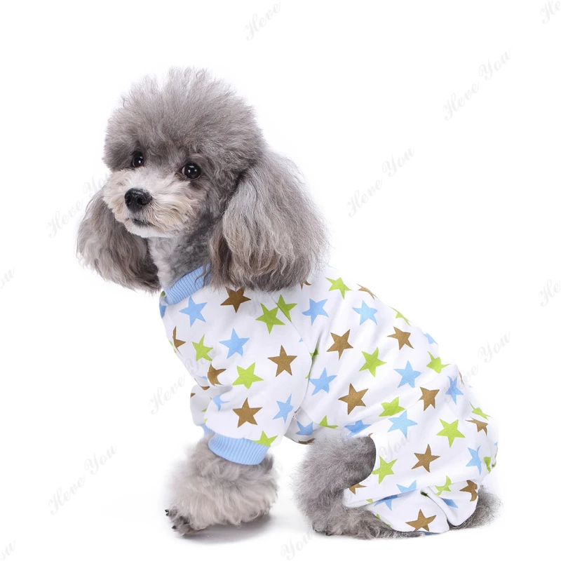 Dog_2202
