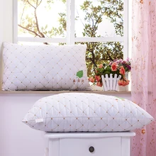 Livraison Gratuite Oreiller/Plume de velours/santé/coussin/physiothérapie oreiller cou oreiller