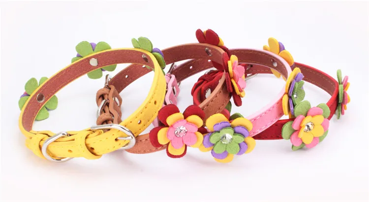 dog collars (1)