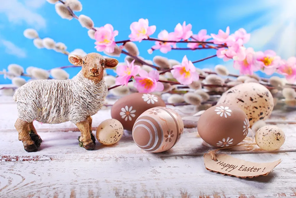 

SHANNY Vinyl Custom Photography Backdrops Prop Easter day theme Photo Studio Background ZONV-1159