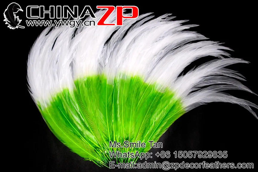 65~70cm green with white tip dould color silver pheasant feather  (4)