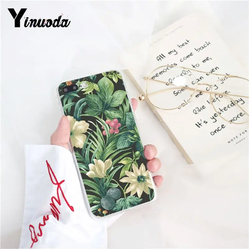 Tropical Plants Cactus Banana Leaves