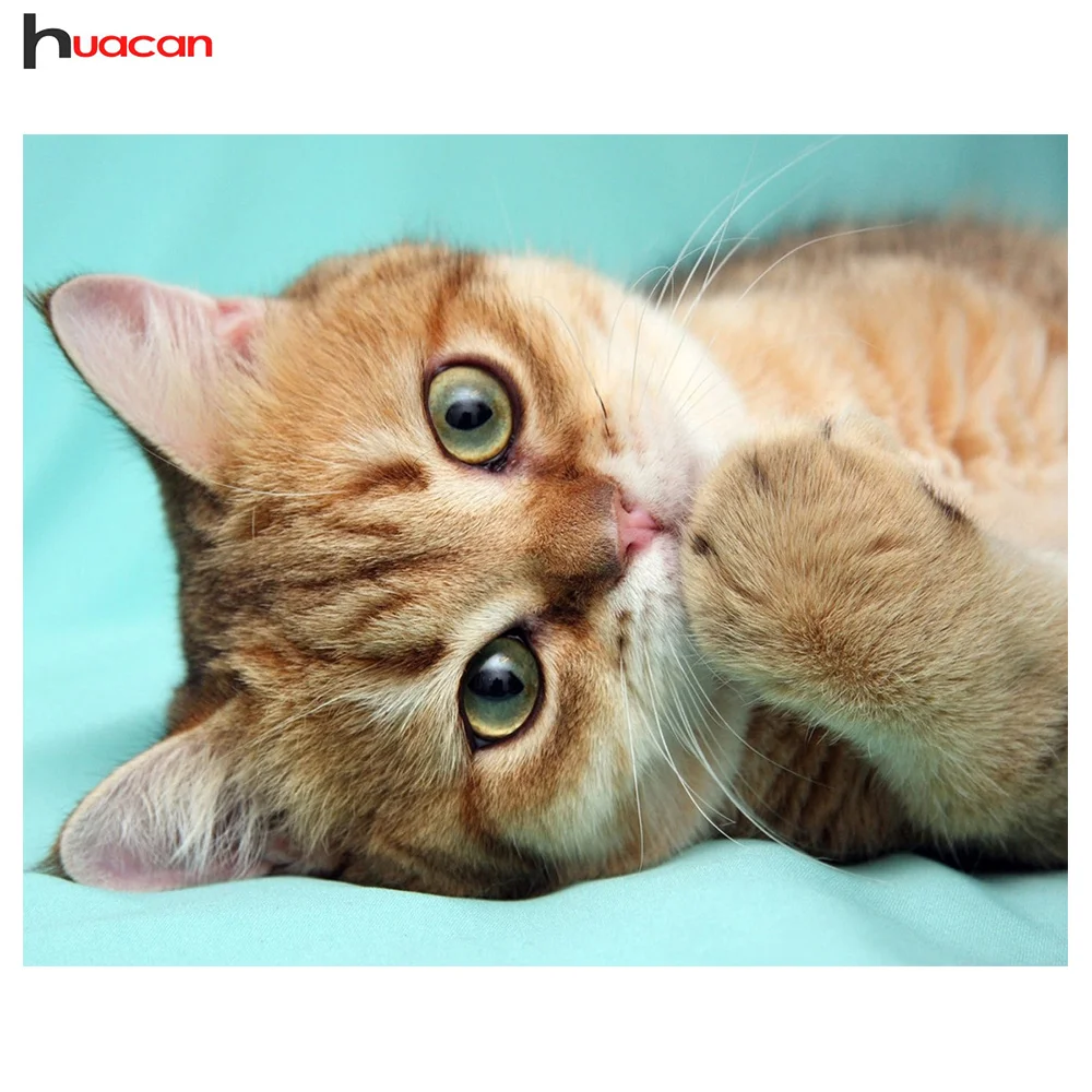

Diamond Painting Cute Cat Picture of Resin Drill Full Area Square Diamond Embroidery Rhinestone Needlework Handmade DIY Craft