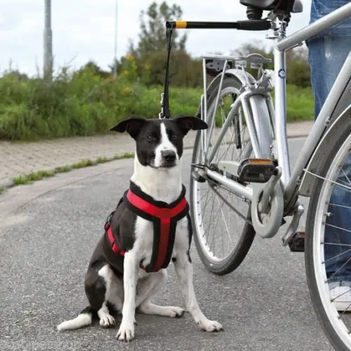 Flexible Dog Leash Bike Dog Leash Dogs Lead Bike Distance Keeper Dog