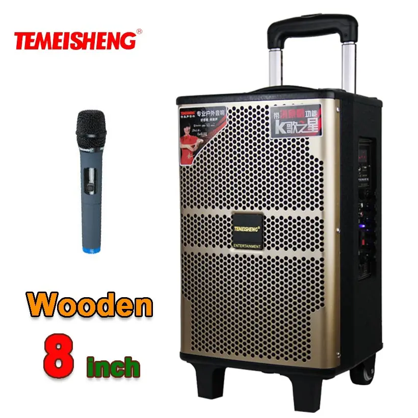 TEMEISHENG High Power Portable Wooden Loudspeaker Bluetooth Speaker