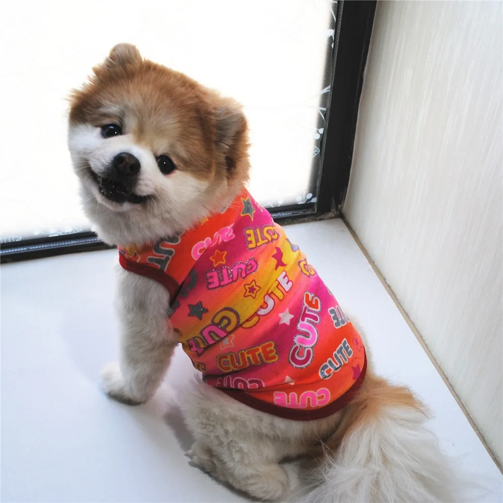 10828050136_361259826